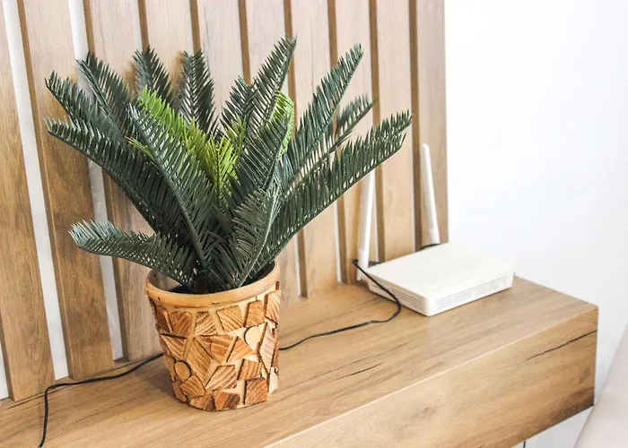 Vista * Golem (Tirana)